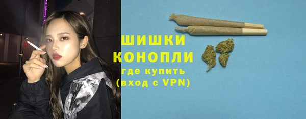 хмурый Вяземский