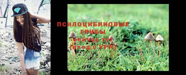 хмурый Вяземский