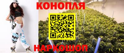 СК Дубна