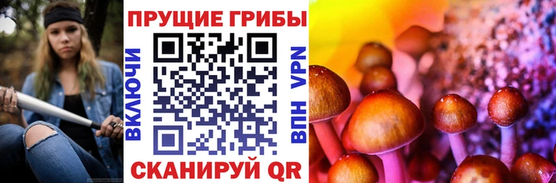 mega ТОР  цены   Мценск  Галлюциногенные грибы ЛСД 