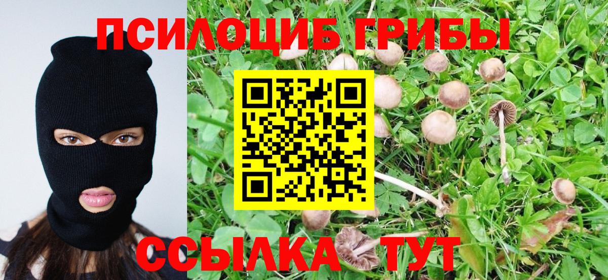 Псилоцибиновые грибы ЛСД  Вход с VPN  Псилоцибиновые грибы Psilocybine cubensis  Мценск 